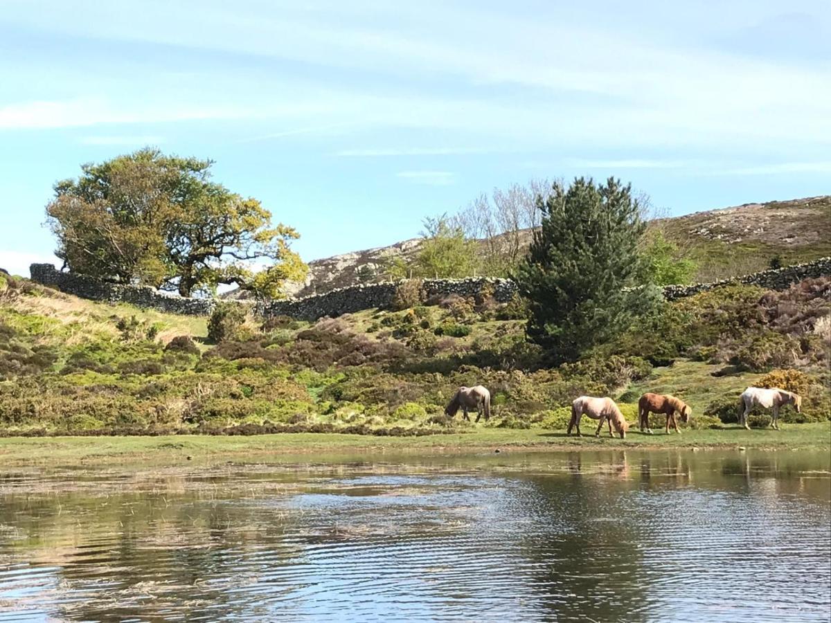 River Cottage Conwy Ngoại thất bức ảnh